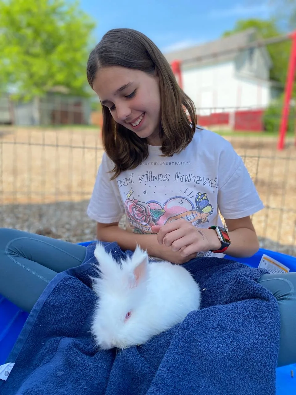 Close-up of a friendly brown rabbit at children's petting zoo